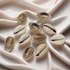 Hand-Drilled Natural Seashell Pendant for DIY Jewelry: Necklace and Bracelet Accessories