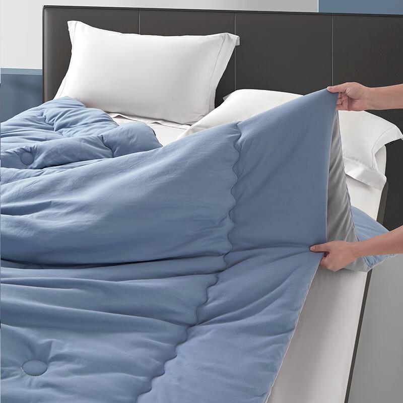 Tangna Elegant Soft Cloud All-Season Quilt