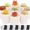 Small Plastic Octagonal Flowerpot, Monochromatic, Seedling Pot, Desktop Succulent Decoration Combination, Breathable, TMZ, 10Pcs