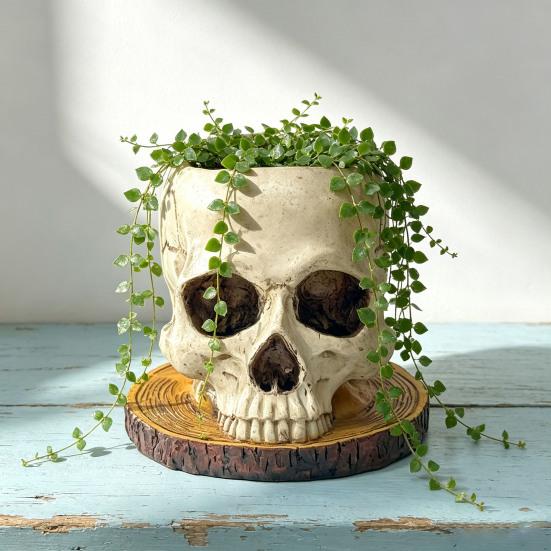 Decorative Resin Ornament Halloween Retro Skull Planter, Spooky Gothic Human Head Flower Pot, Indoor Potted Plant Pot Skeleton Candy Bowl Decoration