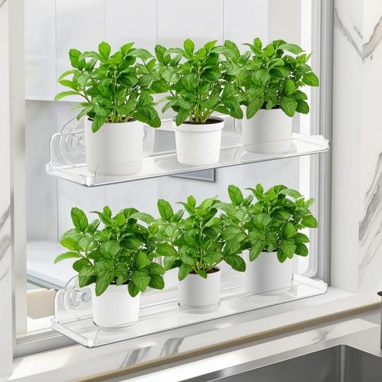 Suport mic pentru expunerea plantelor Raft de fereastră cu ventuză și margine de protecție, Raft plutitor robust din acril transparent, Suport de perete pentru interior