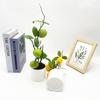 Green Lemon Plant Decor With Faux Fruits For Home Styling And Props Photography