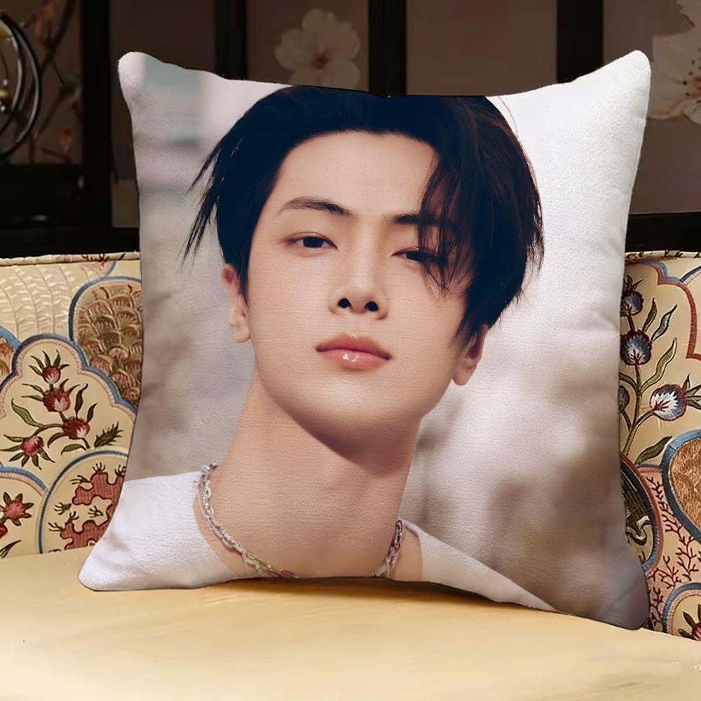 Jay P-park Singer Pillow Case Pillowcase, Double-sided Printed, Sofa Cushion, Bedroom Headboard Pillow