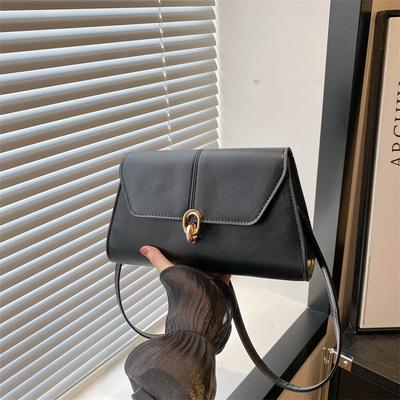 Underarm Small Square Bag Fashion Messenger Bag 2025 New Retro Fashion Beautiful Autumn Trend Niche Design Women's Bag