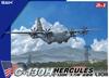 Great Wall Hobby Amerikanisches Transportflugzeug, Gesamtlänge 208 mm, Kunststoffmodell L1011 1/144 C-130H, ca.. (Flugzeug)