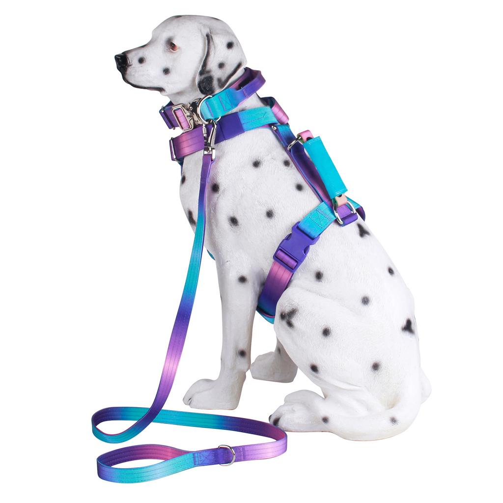 Tactical Dog Harness Dog Collar Leash-No-Pull Pet Harness Vest for Medium& Large Dogs Outdoor Training Anti-Escape Pet Harness