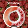Water Bottle Taste Pods Pack | Accessories Flavoured Water Bottle S Tarter Set Flavors Pods