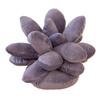 25cm Lifelike Succulent Plants Plush Stuffed Toys Soft Doll Creative Potted Flowers Pillow Chair Cushion for Girls Kids Gift