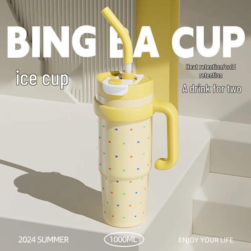 

Zhi Jincheng 1000ml Insulated Straw Water Bottle