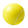 63mm Sport Football Basketball Volleyball Pet Dog Chew Bite Training Ball Toy