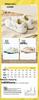 Anta Wave 4.0 Women's Retro Fashion Sneakers