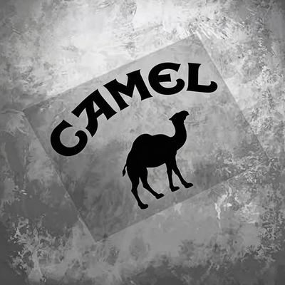 أكسسوارات خارجية – ملصقات للسيارات