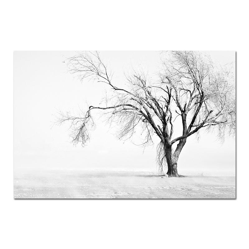 Minimalist Black White Modern Photo Wall Art Canvas Print Poster Winter Nature Sight Picture for Living Room Home Decor Cuadros