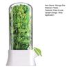 Refrigerator Herb Storage Box Upright Cilantro Storage Container Parsley Preservation Box Keeps