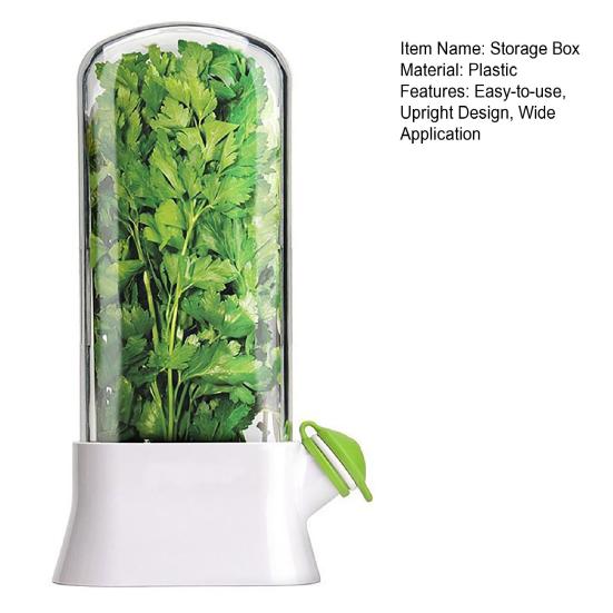 Refrigerator Herb Storage Box Upright Cilantro Storage Container Parsley Preservation Box Keeps