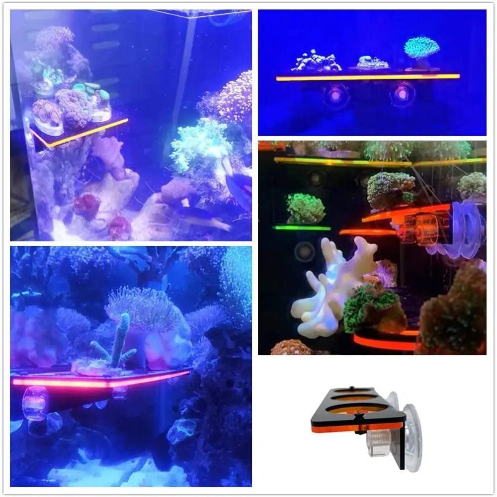 Durable Fluorescent Coral Frag Bracket Acrylic Coral Rack  Cultivating Coral Holder Bracket
