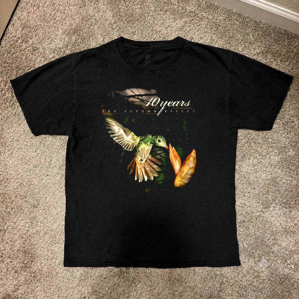 Rare 10 Years Band The Autumn Effect Gift For FanS to 5XL T-shirt
