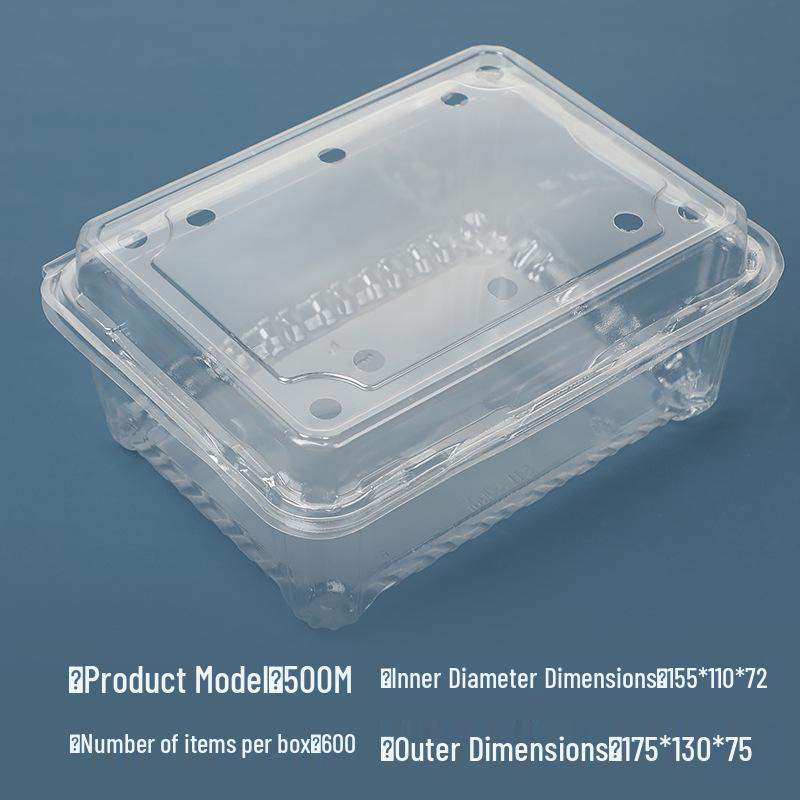 Transparent Disposable Fruit Box with Lid – Food-Grade Plastic, Rectangular, Sturdy for Takeaway, Ideal for Strawberries or Cut Fruit