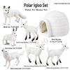 Children's Cognitive Animal Models: Polar Bear & Penguin Plastic Toys