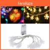 Enchanting Star Lights With Manual Control Perfect For Indoor And Outdoor Celebrations