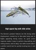 Jackall Bonnie 65 Floating Lure Dark Phantom (1722)