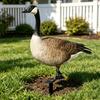 Realistic Acrylic Animal Yard Stake, 2D Flat Chicken Goose Bird Bunny Garden Sign for Pathway, Patio, Lawn Outdoor