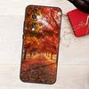 Autumn Leaves Case For Honor Magic 8 7 5 6 Pro X9a X9b X9c X9d X8c X8b Win RT 50 70 90 200 400 Lite Cover