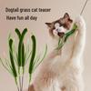 Foxtail Grass Cat Teaser Wand: Durable Long Rod Toy for Self-Play and Boredom Relief