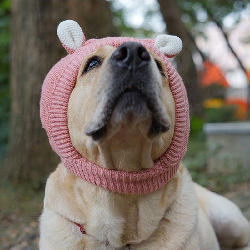 Pet Hat Winter Labrador Golden Retriever Funny Headgear Warm Cute Puppy Hat