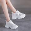 Mesh breathable thick-soled dad shoes women's 2025 new spring and autumn height increase Internet celebrities show feet small leisure sports women's