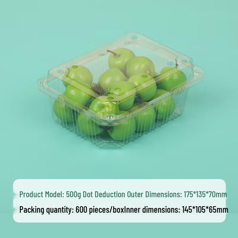 Shixun Disposable Transparent Fruit Containers with Lids (100-Pack)