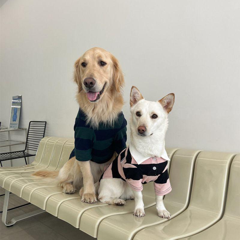 BARKDOG Rugby Stripe PK Carat