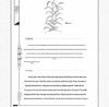 Tiangong Kaiwu: A Bilingual Guide To Ancient Chinese Agriculture and Planting Classics