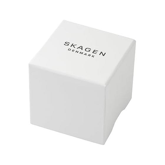 [Skagen] Watch Signatur SKW6902