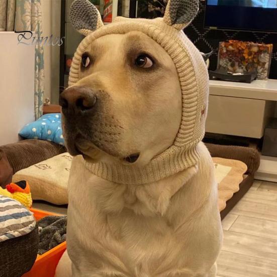 Barn Lue Vinter Pet Cap Strikket Høy elastisitet Holder varmen Ensfarget Øre Decor Småbarn Gutter Jenter Beanie Foto Prop Hodeplagg