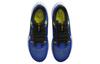 Nike Air Zoom Pegasus 40 'Racer Blue' DV3853-401