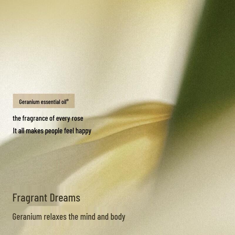 Zuodian Geranium Essential Oil Herbal Warming Foot Patches (6 Boxes)