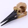 Crânio de Pássaro Dinossauro Artesanato de Resina Crânio de Corvo Taro Esqueleto de Dinossauro