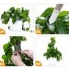 4 stk Mospinne 17,7 tommer Mospinne Monstera Plantestøtte Plast Mospinne for Planter Monstera Selvvannende Stabelbar