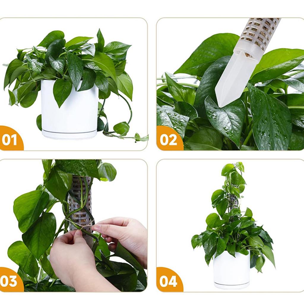 4Pcs Moss Pole 17.7inch Moss Pole Monstera Plant Support Plastic Moss Pole for Plants Monstera Self Watering Stackable