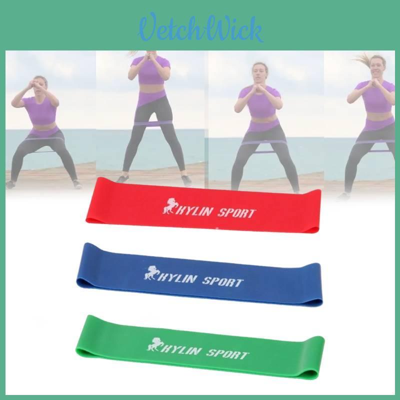 Premium Resistance Bands For Strength Training Yoga Stretching And Home Gym Fitness Equipment