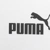 Puma Ексклюзивна м'яка зручна універсальна толстовка Чоловічі толстовки Білий 678421-02