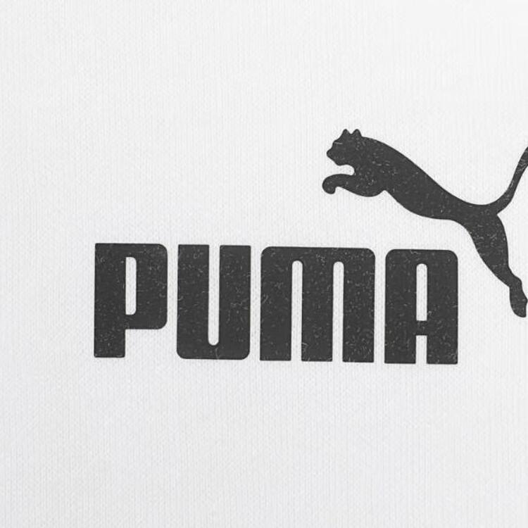 Puma Ексклюзивна м'яка зручна універсальна толстовка Чоловічі толстовки Білий 678421-02