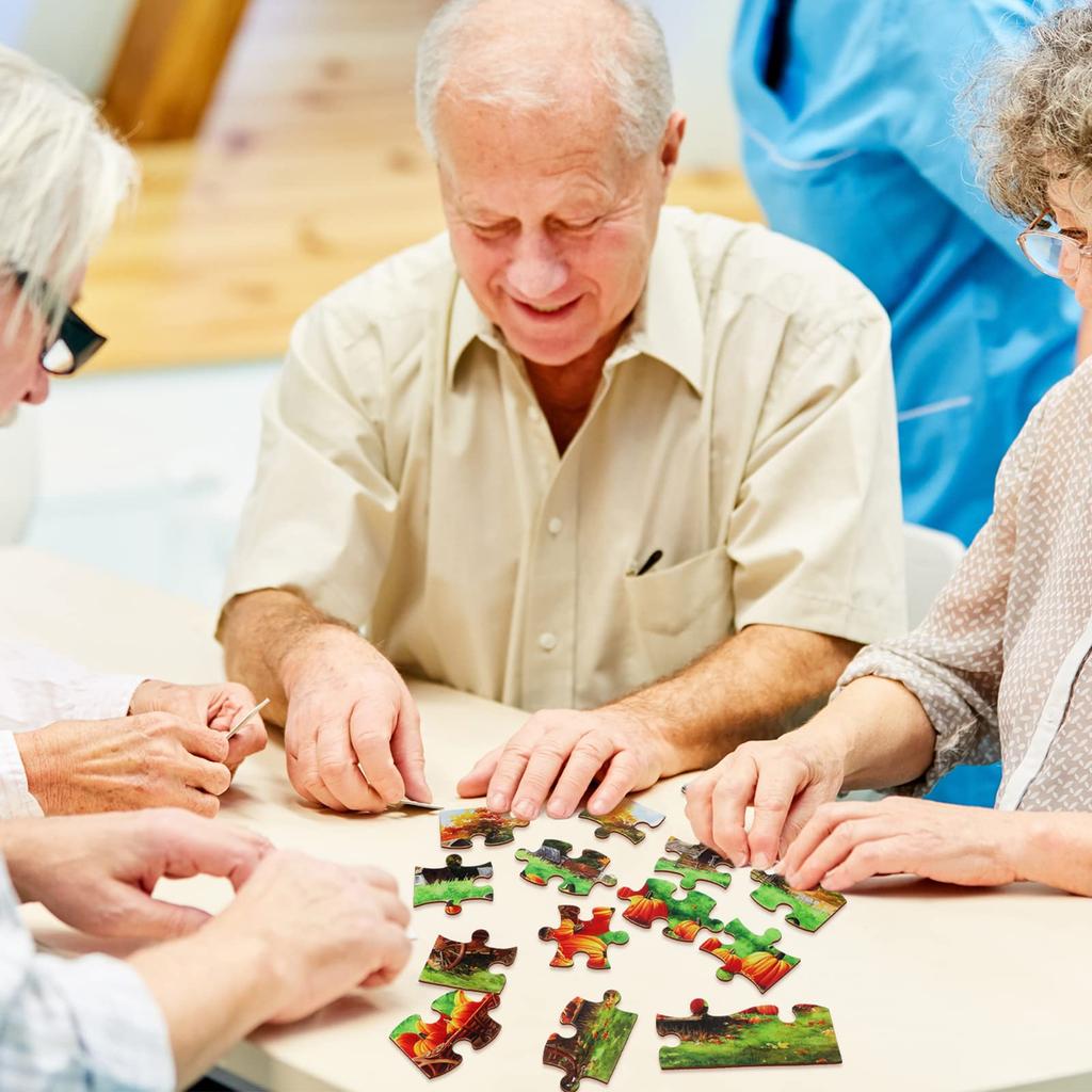 Liliful 6 Pack 16 Piece Large Puzzle for Seniors Wooden Dementia Puzzle Puzzle Easy Puzzle for Seniors X Inch Jigsaw Puzzle for Adults Disease