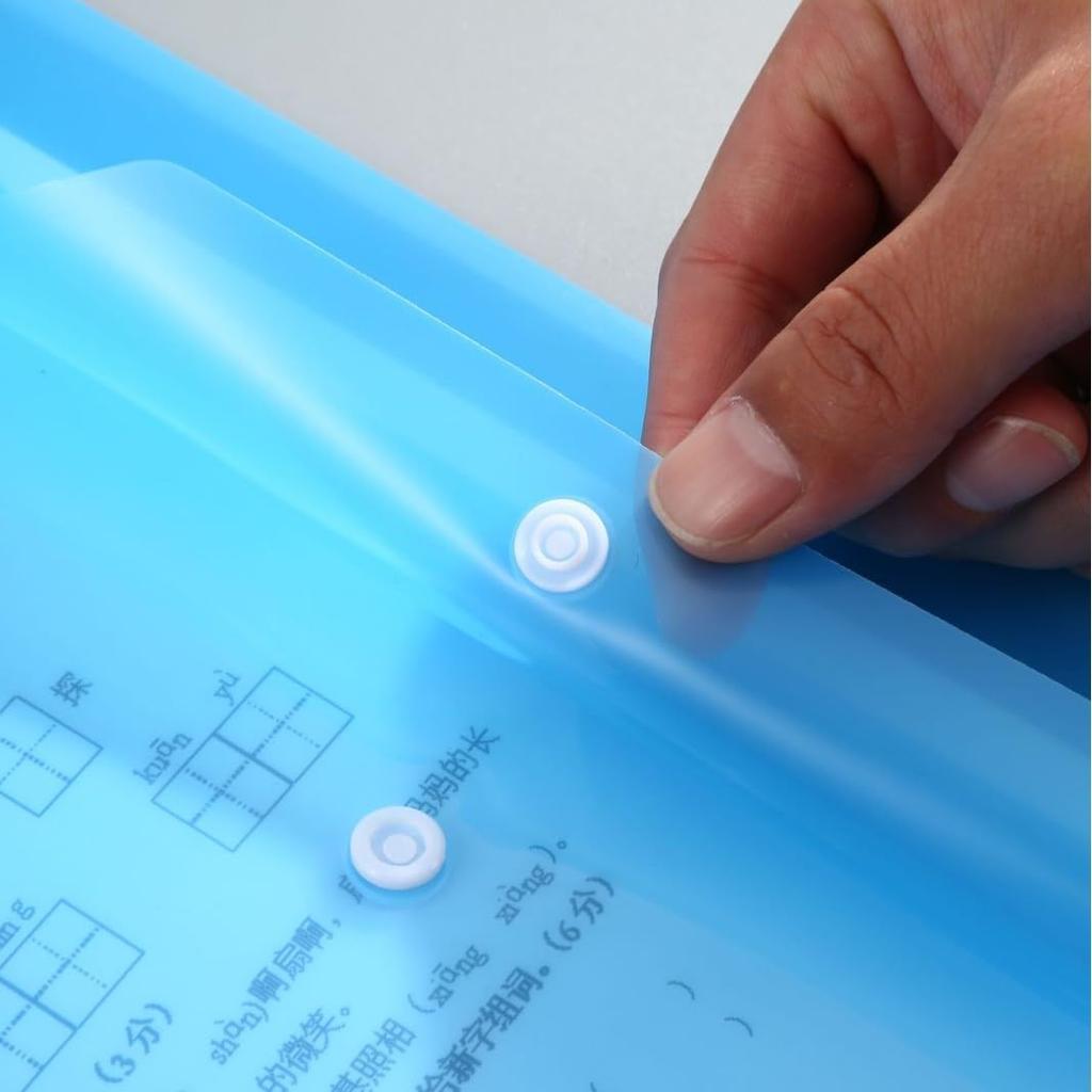 lulubelle Clear Button Set of Color Capybara and Floral Waterproof Convenient for Document Home Storage Stationery of 4 Floral File, A4, Closure,