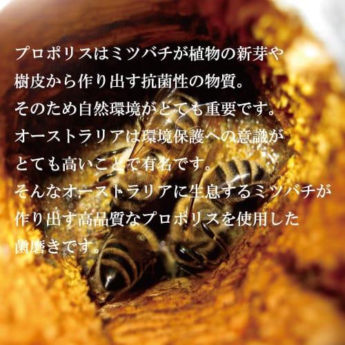 Chalmers Dale Propolis Toothpaste, Fluoride-Free, High-Concentration Propolis with Peppermint, Refreshing, 110g, Made in Australia by Alpha Japan, Spe