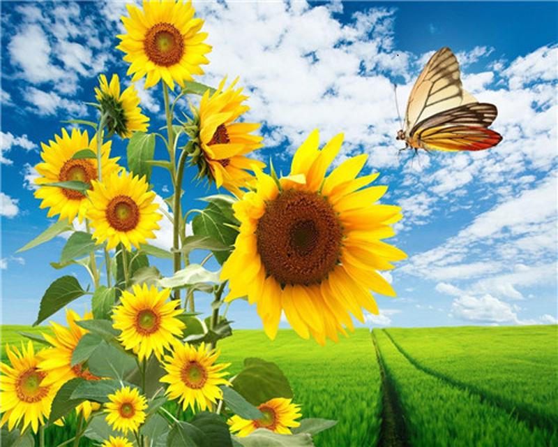 

Алмазная картина Цветы Набор алмазной живописи Рукоделие Алмазная вышивка Картина 15*20cm