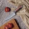 3.5 Inch Paring Knife 67-layers Damascus VG-10 Steel Blade Barbecue Peeling Fruit Kitchen Knives Rosewood Handle Cooking Tools