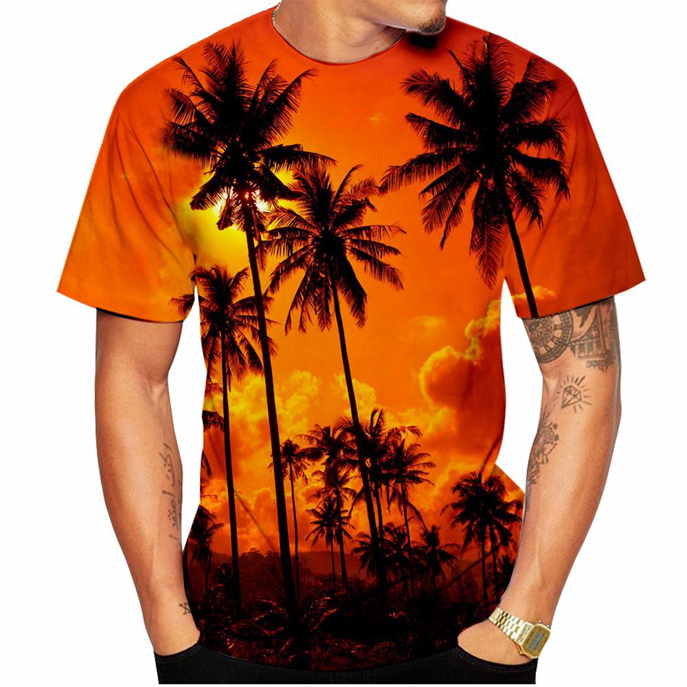 Summer Hawaiian Scenery 3D T-Shirt, Street Fashion Men's Stylish Loose Fit Round Neck Short Sleeve Top