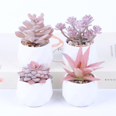 Deko & Wohnaccessoires – Dekorative Blumentöpfe